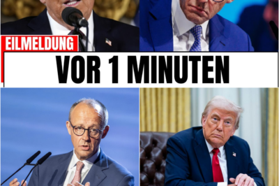 Alarmstufe Rot in Berlin: US-Geheimdienste warnen vor fatalen Folgen der deutschen Realitätsverweigerung