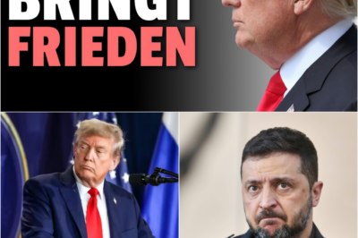 Gipfel der Entscheidung in Mar-a-Lago: Trump und Selenskyj rücken 95-Prozent-Frieden näher – Doch der Preis ist hoch