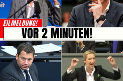 AfD-Tsunami trifft Deutschland: Brandmauer bricht unter dem Druck der Wirtschaft – Klingbeil und die Altparteien in hysterischer Panik