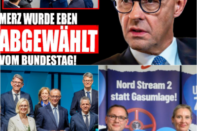 Die Brandmauer implodiert: Friedrich Merz gestürzt – CDU im freien Fall hinter der AfD