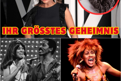 Das letzte Geständnis der Queen of Rock: Was Tina Turner jahrzehntelang vor der Welt versteckte