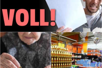 Preisschock zur Weihnachtszeit: Wenn der Schokonikolaus zum Luxusgut wird und Deutschland finanziell ausblutet