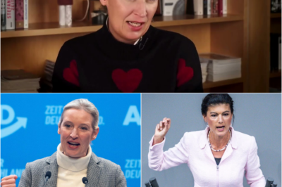 Deutschlands politische Zeitenwende: Wie eine gerichtliche Entscheidung die Regierung Merz stürzen und die Opposition an die Macht bringen könnte