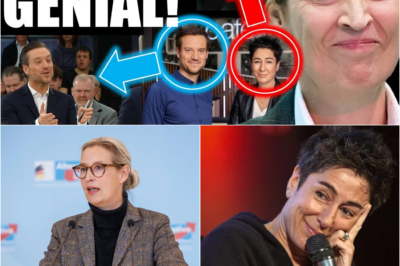 Eklat im ZDF: Alice Weidel kontert eiskalt – Dunja Hayali und Moderatoren-Kollege völlig sprachlos