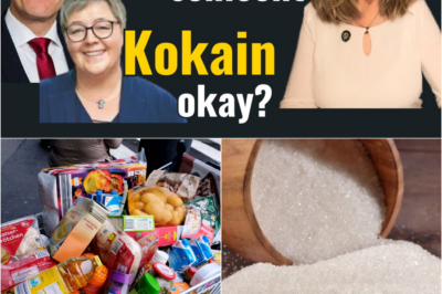 Zuckersteuer 2026: Kommt nach dem Cannabis-Rausch jetzt die staatliche Lebensmittel-Kontrolle?