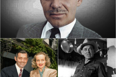 Clark Gable: Der zerrissene König – Von der einzig wahren Liebe bis zur schockierenden Beichte vom Ende seiner Tage