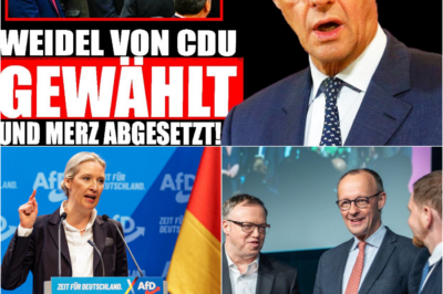 Die Ära Merz zerbricht: Umfragen-Schock und interne Rebellion zwingen die CDU zur 180-Grad-Wende – Alice Weidel wird Kanzler-Favoritin