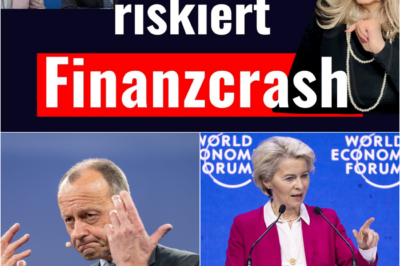 Das deutsche Harakiri: Merz und Von der Leyen riskieren die internationale Finanzkrise, die Spaltung Europas und eine Kriegserklärung für die Ukraine-Milliarden