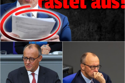 Skandal um “Crash-Justiz”: Dokumente belegen Merz’ beispiellose Welle von Tausenden Strafanträgen – Hausdurchsuchungen wegen Online-Pöbelei