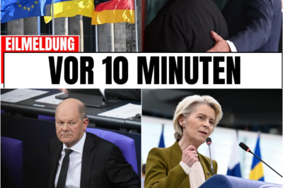 Der 22,5-Milliarden-Euro-Schock: Wie Deutschland heimlich zum Hauptzahler des neuen EU-Ukraine-Kredits gemacht wird