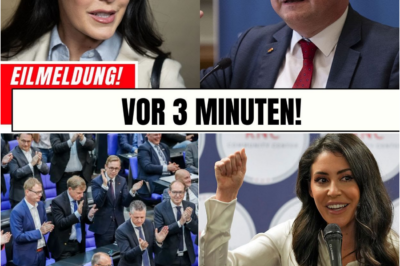 Die USA-Reise, die Deutschland spaltet: Wie die Hysterie um die AfD in Washington den tiefen Riss in der politischen Kultur offenbart