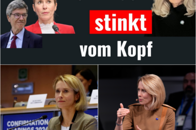 Brüssels dunkle Seiten: Der Korruptionsskandal um Kaja Kallas – Wie der EAD-Sumpf die EU-Chefdiplomatin verschlingt