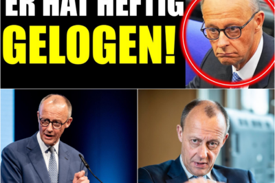 Der Merz-Effekt: Sieben Minuten Videobeweis enthüllen die erschütternde Hypokrisie der CDU und den Niedergang der politischen Glaubwürdigkeit in Deutschland