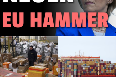 Zoll-Hammer für China-Shopper: EU beschließt neue Strafgebühr auf jedes Billig-Paket!