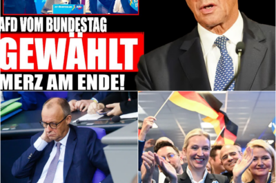 SENSATION im Bundestag: Die Brandmauer bricht, Merz am Boden – CDU-Rebellen fordern offene Kooperation mit der AfD.