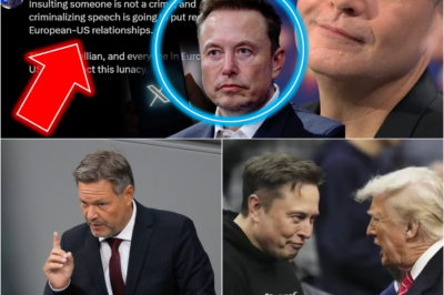 Diplomatischer Super-GAU: Drohen Deutschland brutale US-Sanktionen wegen Habecks Kampf gegen Elon Musk?