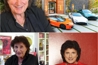 Das Luxus-Paradoxon des Königs: Die 25-Millionen-Euro-Einsamkeit des Olaf der Flipper