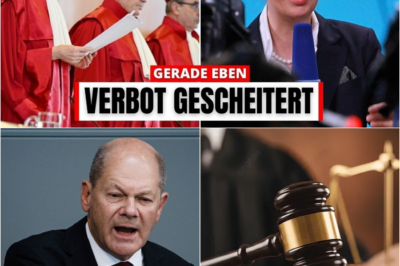 Beben im Rechtsstaat: Behörde erklärt Brandmauer-Beschluss gegen AfD für rechtswidrig – Demokratie am Scheideweg?