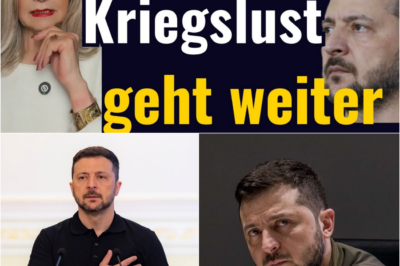 Der globale Schachzug: Selenskyjs brisante China-Enthüllung und die strategische Neudefinition des Konflikts, die Europa in den Abgrund zerrt