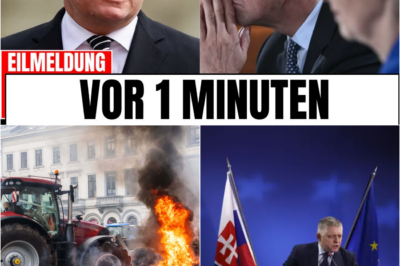 Politisches Beben in Brüssel: Amtierender Staatschef enthüllt den systematischen Zerfall der EU und klagt Machtmissbrauch an