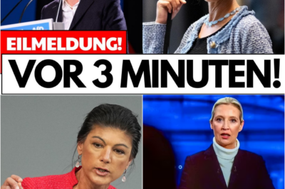 Der politische Super-GAU: Fällt die Brandmauer? Die unerwartete Annäherung von Wagenknecht und Weidel erschüttert Deutschland