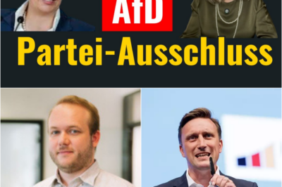 Politisches Beben in Köln: CDU- und SPD-Mitglieder gründen Verein mit der AfD – Jetzt rollt die Rauswurfwelle
