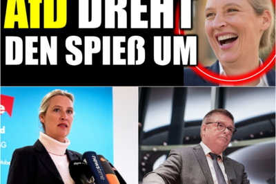 Gefährlicher Präzedenzfall? Warum die Einstufung der AfD durch den Verfassungsschutz zum Bumerang werden könnte