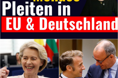 Der Große Verrat: EU-Eliten kassieren Traumgehälter, während ukrainische Oligarchen in Monaco Bugatti fahren und Deutschland im Stundentakt bankrott geht.
