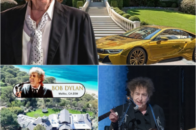 Das stille Imperium: Wie Bob Dylan im Alter von 83 Jahren ein 500-Millionen-Dollar-Vermögen in aller Heimlichkeit anhäufte
