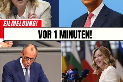 Der Meloni-Schock: Wie die italienische Premierministerin die „Brandmauer“ in Europa einreißt und das deutsche Establishment in die politische Krise stürzt