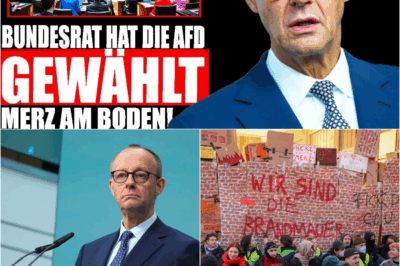 Der politische Erdrutsch: Wie die AfD die Union überholt und Kanzler Merz’ “Brandmauer” in Trümmern liegt