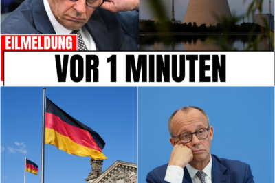 Systemischer Bruch: Warum Friedrich Merz’ neue Pläne den wirtschaftlichen Todesstoß für Deutschland bedeuten könnten