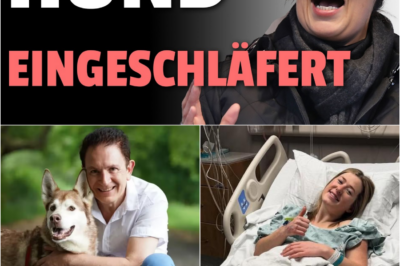 Unfassbares Behörden-Drama in Hannover: Amt lässt Hund Felix einschläfern, während sein Herrchen im Koma liegt