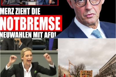 Merz’ ultimative Notbremse: Neuwahlen erzwingen das Ende der Brandmauer und die Tür zur AfD
