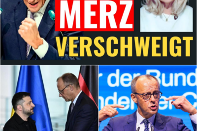 173 Milliarden Euro für die Ukraine: Merz’ eiskalte Prioritäten – Deutschland am Abgrund, der Kanzlerkandidat blickt weg