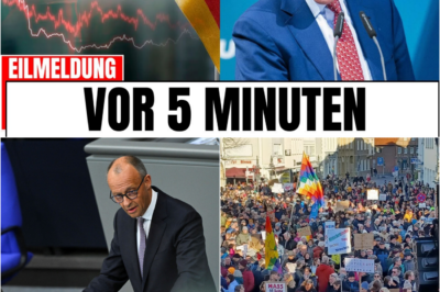 Der totale Offenbarungseid: Wie die politische Elite Deutschlands Zukunft verspielt und die Bürger für ihren Ruin zahlen lässt