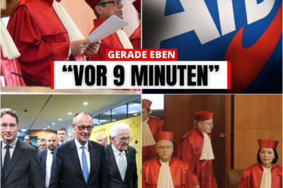 Dreifache Katastrophe in Berlin: Gericht hebelt AfD-Sperre aus, Merz droht mit Koalitionsende und ein Stimmen-Skandal reißt die Mehrheit ein