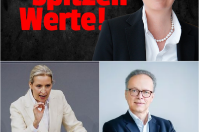 Wirtschafts-Beben in Deutschland: Verbände reißen die Brandmauer nieder und suchen den Dialog mit der AfD