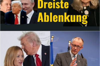 Gipfel der Gerüchte: Wie FDP und Grüne mit bizarren Verschwörungstheorien vom EU-Debakel ablenken
