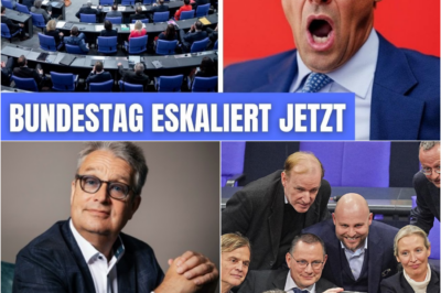 Politisches Erdbeben in Deutschland: AfD mit 27 % auf Rekordkurs – Steht Alice Weidel vor dem Kanzleramt?