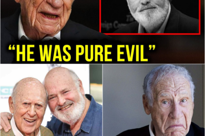 Mel Brooks’ erschütterndes Geständnis: Die 10-jährige Tragödie hinter dem grausamen Mord an Rob Reiner