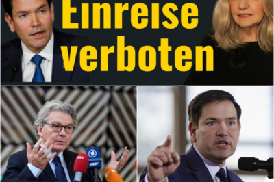 Transatlantisches Beben: USA verhängen Einreiseverbote gegen deutsche NGO-Chefinnen und EU-Architekten wegen „Zensur-Industrie“