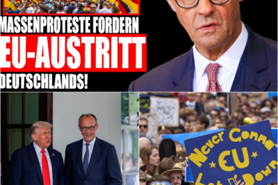 Regierung am Ende: Deutschland steht vor dem DEXIT – Das politische Establishment ignoriert den Volkswillen, während die Revolte des Volkes eskaliert.