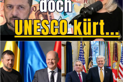 Selenskyjs Dreifach-Skandal: FBI-Ermittlungen gegen engsten Vertrauten und die schockierende Drohung, Europas Öl-Adern zu kappen