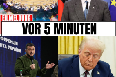 Merz politisch entlarvt und Selenskyj im freien Fall: Das Brüsseler Debakel und seine fatalen Folgen