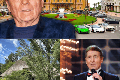 Der tiefe Fall der Seemanns-Ikone: Geheime Ehe, Steuer-Skandal und das Millionen-Vermögen – Freddy Quinns dramatisches Leben mit 94.