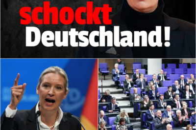 Anatomie der Antizeitenwende: Neue 60-seitige Analyse enthüllt den globalen Siegeszug der AfD-Strategie und lässt die Brandmauer wanken!