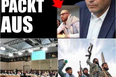 Komplette Demontage der Syrien-Politik: Wie ein Deutscher mit syrischen Wurzeln die Grünen zur Weißglut trieb und ihre Intoleranz entlarvte