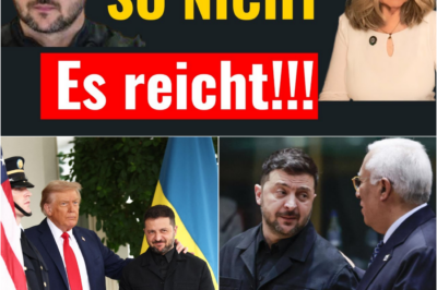 Diplomatischer Affront: Selenskyj demütigt Macron und fordert lebenslange Zahlungen von Europa