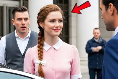 Sie ging nach der Scheidung wortlos — Minuten später fuhr sie im Limo eines Milliardärs davon DT